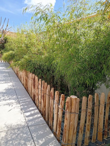 Photo de galerie - Clôture Grillage