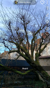 Photo de galerie - Avant petit nettoyage 
