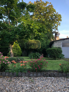 Photo de galerie - Taille / désherbage manuel / tonte Mulching 