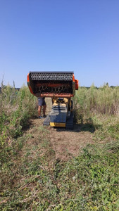 Photo de galerie - Tonte de pelouse - Débroussaillage