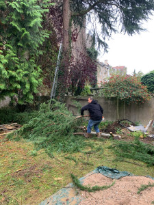 Photo de galerie - Enlèvement déchet vert 