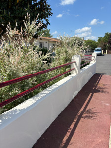 Photo de galerie - Peinture - Tapisserie