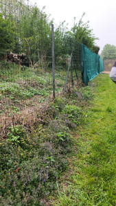 Photo de galerie - Clôture Grillage