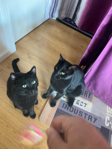 Photo de galerie - Ray et Will passage au domicile 