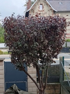 Photo de galerie - Après 