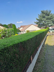 Photo de galerie - Jardinier