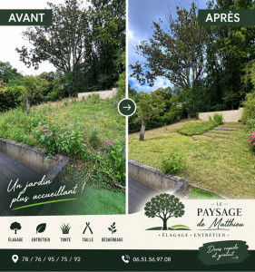 Photo de galerie - Remise en état