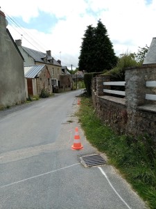 Photo de galerie - Taille de haies et d'arbustes