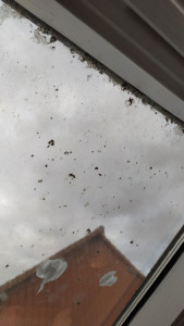 Photo de galerie - Velux avant nettoyage 