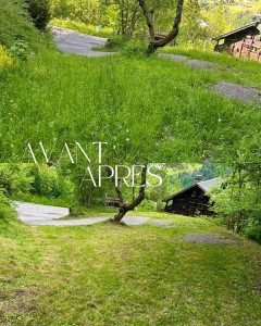Photo de galerie - Débroussaillage et tonte d’un jardin 