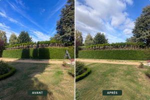 Photo de galerie - Taille et remise à niveau du plateau d’une haie avec évacuation des déchets verts. Résultat propre et régulier.