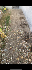 Photo de galerie - Avant nettoyage, haute pression