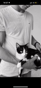 Photo de galerie - Garde chat