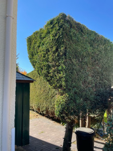 Photo de galerie - Fais par moi cet été