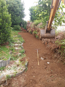 Photo de galerie - Nettoyage et pose d'une barrière contre bambou