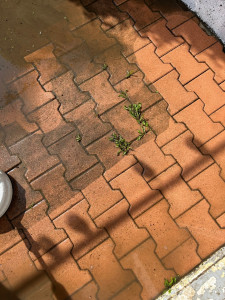 Photo de galerie - Nettoyage terrasse 