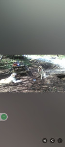 Photo de galerie - De belles ballades.
En douceur ou sportives.