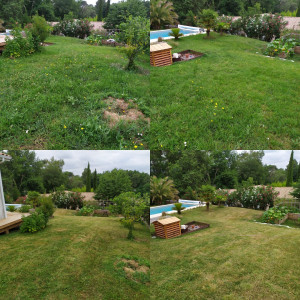 Photo de galerie - Entretien avant/après