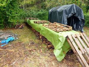 Photo de galerie - Protection du bois suite à la coupe 