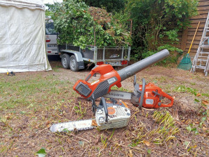Photo de galerie - Abattage et Élagage d'arbres puis évacuation des déchets.