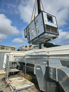 Photo de galerie - Grutage d'une CTA pour remplacement 