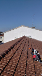 Photo de galerie - Peinture - Tapisserie