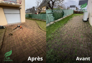 Photo de galerie - Tonte de pelouse - Débroussaillage