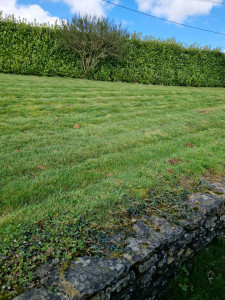 Photo de galerie - Tonte de pelouse sur plonevez du faou 