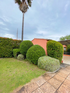 Photo de galerie - Taille de haies et d'arbustes