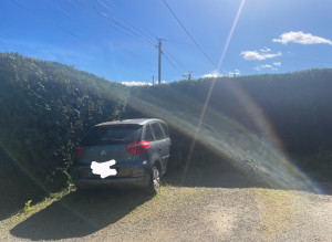 Photo de galerie - Taille de haies après 