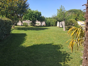 Photo de galerie - Tonte de pelouse - Débroussaillage