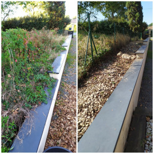 Photo de galerie - Tonte de pelouse - Débroussaillage
