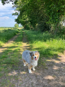 Photo de galerie - Balade de Paco 