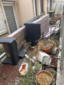 Photo de galerie - Évacuation de déchets dans un jardin 