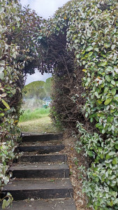 Photo de galerie - Paysagiste - Aménagement du jardin