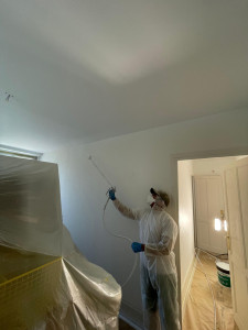 Photo de galerie - Peinture - Tapisserie