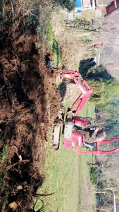 Photo de galerie - Paysagiste - Aménagement du jardin