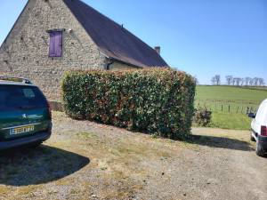 Photo de galerie - Entretien espace vert 