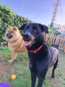 Photo de galerie - Les 2 star ? 


