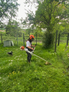 Photo de galerie - Débroussailleuse/re
