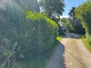 Photo de galerie - Taille de haies et d'arbustes