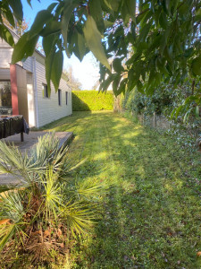 Photo de galerie - Tonte de pelouse - Débroussaillage