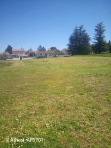 Photo de galerie - 4000m2 de tontes