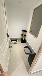 Photo de galerie - Pension féline 