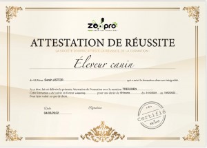 Photo de galerie - Garde chien