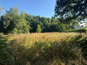 Photo de galerie - Avant 2100 m2