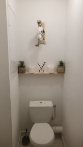 Photo de galerie - Peinture et décoration de toilette