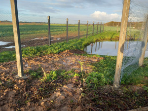 Photo de galerie - Pose de poteaux béton avec installation du grillage