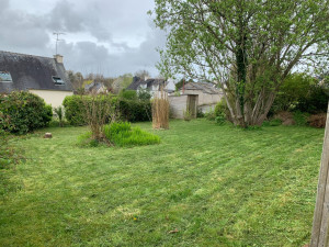 Photo de galerie - Tonte de pelouse - Débroussaillage