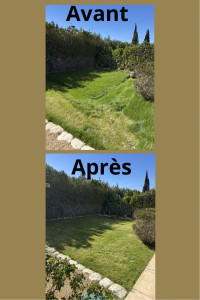 Photo de galerie - Tonte de pelouse 